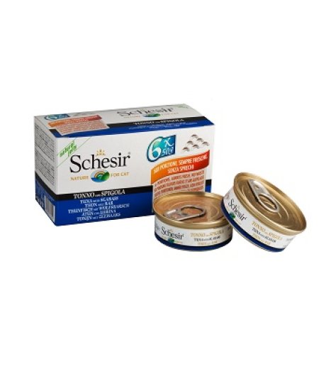 SCHESIR GATTO JELLY TONNO SPIGOLA 6x50GR (lattina) MULTIPACK SCHESIR GATTO JELLY TONNO SPIGOLA 6x50GR (lattina) MULTIPACK