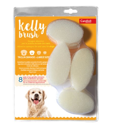 KELLY BRUSH CANE SPUGNETTA ABRASIVA GRANDE 16PZ - CANDIOLI
