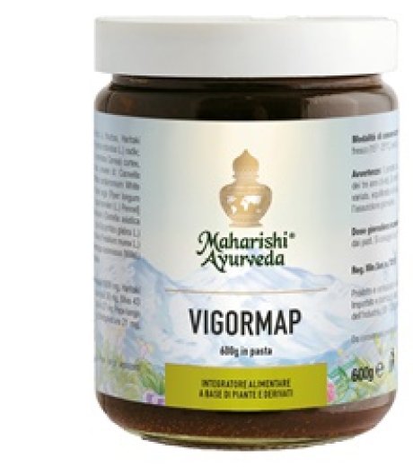 VIGORMAP PASTA 600G