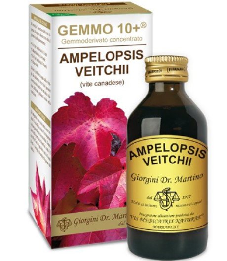 AMPELOPSIS V (VITE CAN)100ML LIQ AN AMPELOPSIS V (VITE CAN)100ML LIQ AN