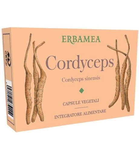 Cordyceps 24cps Vegetali