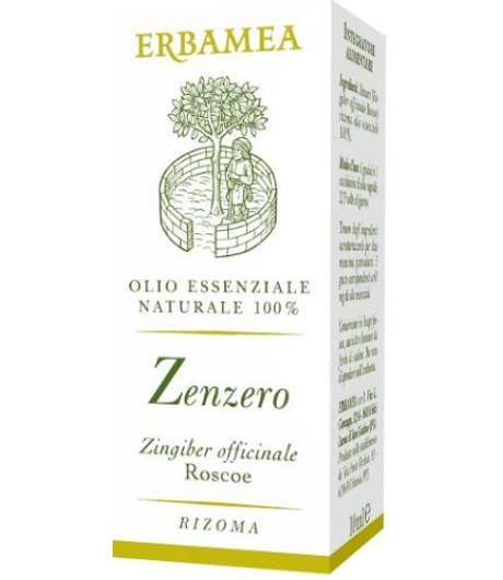 ZENZERO OE 10ML EBM