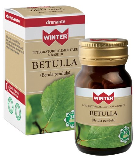WINTER BETULLA 30CPS VEG