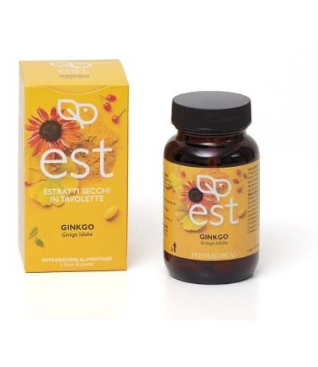 GINKGO ES 60TAV EST