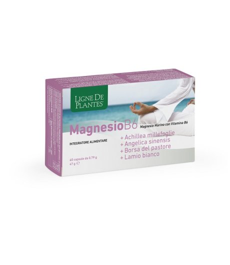 MAGNESIO B6+ACHILLEA+ANGELICA+