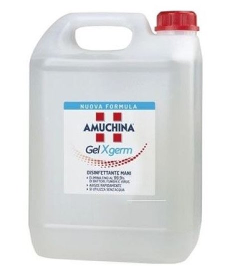 Amuchina Gel X-germ 5l