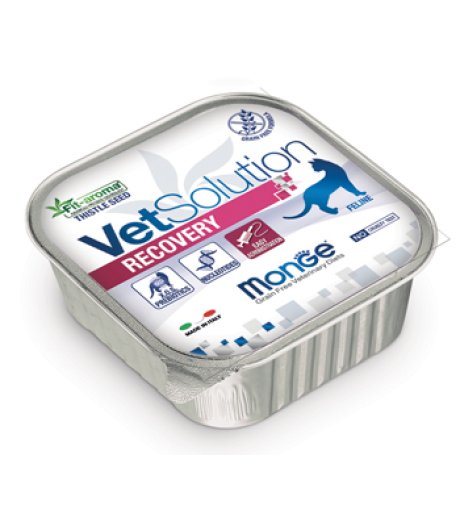MONGE GATTO VETSOLUTION RECOVERY 100GR (vaschetta) MONGE GATTO VETSOLUTION RECOVERY 100GR (vaschetta)