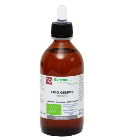 FICO GEMME GD 200ML BIO