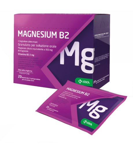 MAGNESIUM B2 300/2MG 20BUST