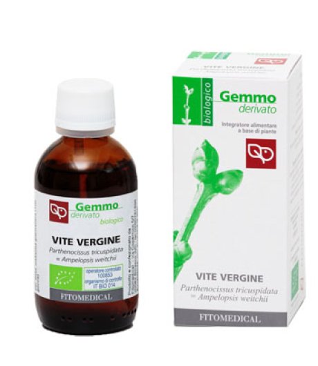 VITE VERGINE GD  50ML BIO