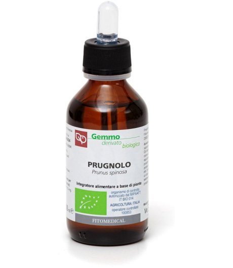PRUGNOLO GD 100ML BIO