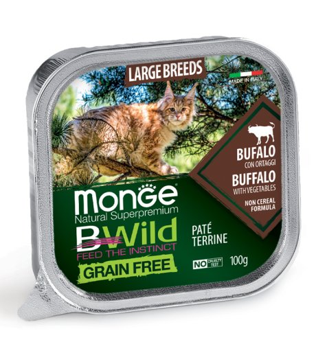 MONGE GATTO BWILD GRAIN FREE LARGE BREEDS BUFALO 100GR (vaschetta)