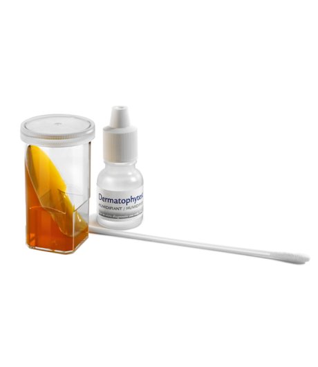 DERMATOPHYTEST 6TEST - VIRBAC