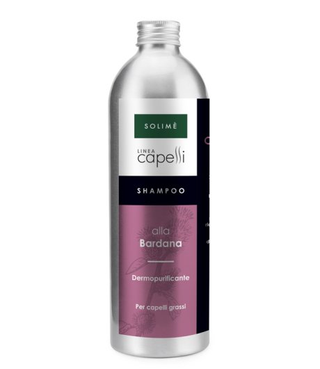 SHAMPOO BARDANA 250ML (ES)