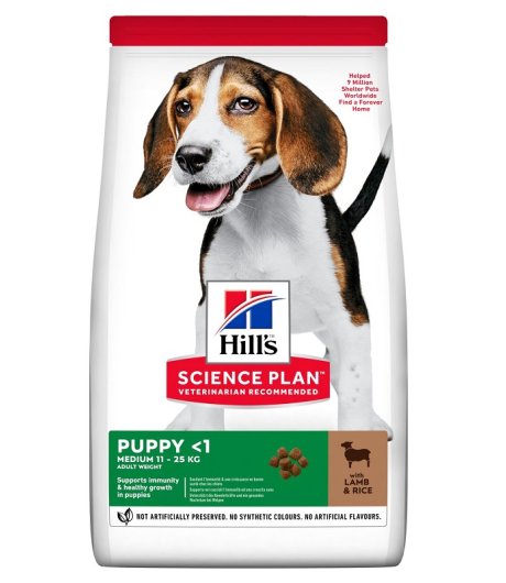 HILL'S CANE SCIENCE MEDIUM PUPPY AGNELLO 800GR HILL'S CANE SCIENCE MEDIUM PUPPY AGNELLO 800GR