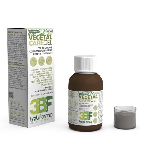 VEGETAL CARE GEL 100G