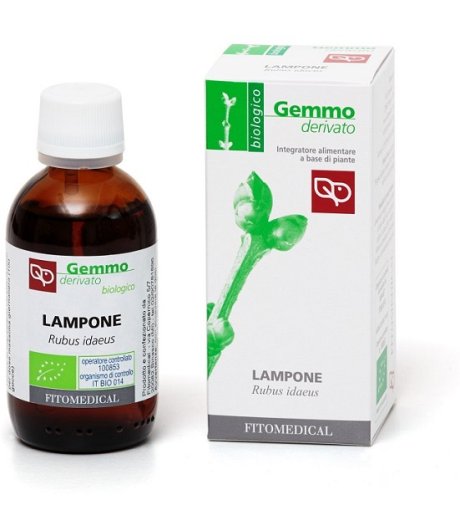 LAMPONE GD  50ML BIO