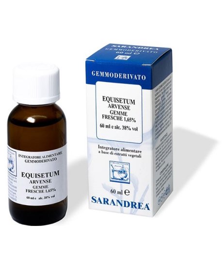 EXTRAGEM EQUISETO GEMME 20ML EXTRAGEM EQUISETO GEMME 20ML