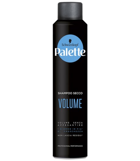 PALETTE DRY SHAMPOO VOLUME 200 ML
