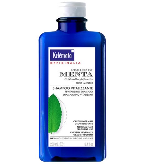 SHAMPOO MENTA 250ML