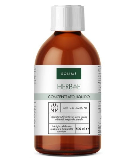 CONCENTRATO LIQUIDO ARTIC 500ML CONCENTRATO LIQUIDO ARTIC 500ML