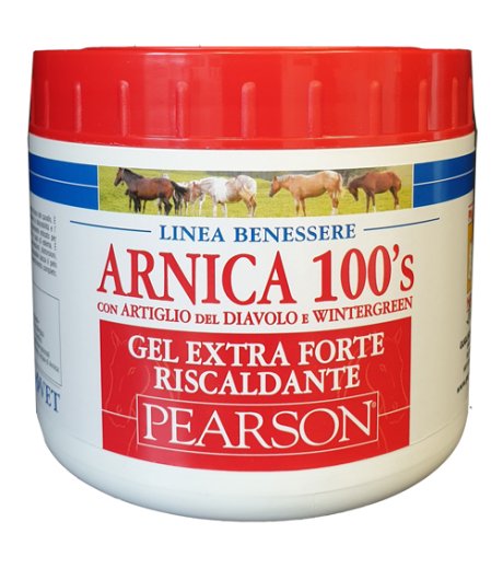 ARNICA 100'S GEL EX FT RISC500