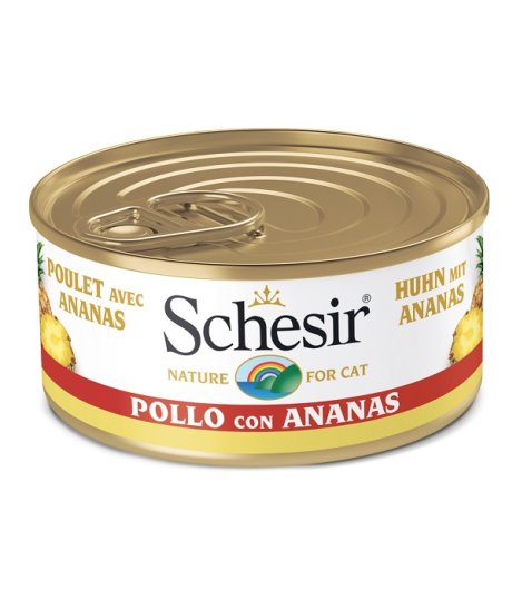 SCHESIR GATTO FRUIT POLLO ANANAS 75GR (lattina) SCHESIR GATTO FRUIT POLLO ANANAS 75GR (lattina)