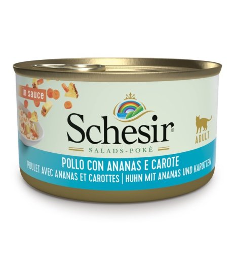 SCHESIR GATTO SALSA POLLO ANANAS CAROTE 85GR (lattina)