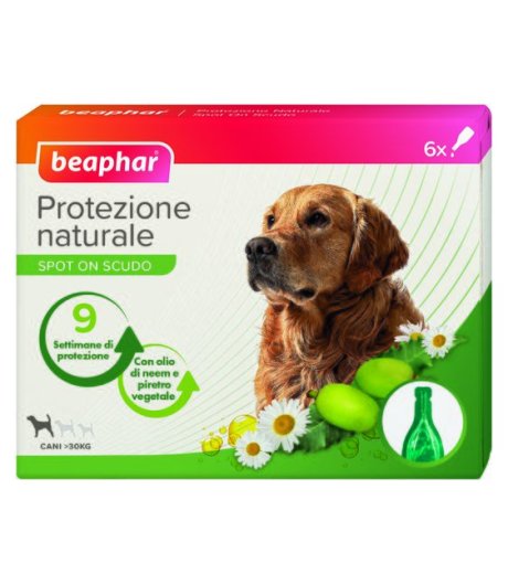 PROTEZIONE NATURALE CANE SPOT-ON 6PIP. 2ML OLTRE 30KG - BEAPHAR PROTEZIONE NATURALE CANE SPOT-ON 6PIP. 2ML OLTRE 30KG - BEAPHAR