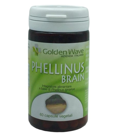 PHELLINUS BRAIN 60CPS VEGETALI PHELLINUS BRAIN 60CPS VEGETALI