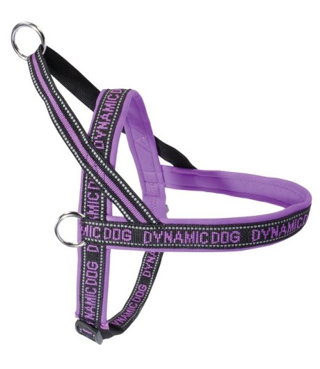 CAMON PETTORINA NEOPRENE DYNAMIC VIOLA 10CM