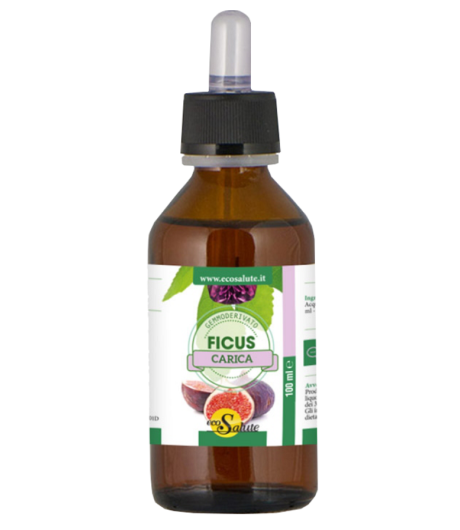 FICUS CARICA GEMMODERIV 100ML