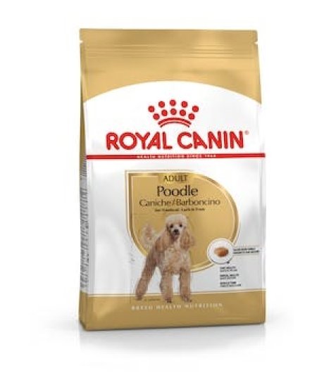ROYAL CANIN CANE POODLE ADULT 1,5KG