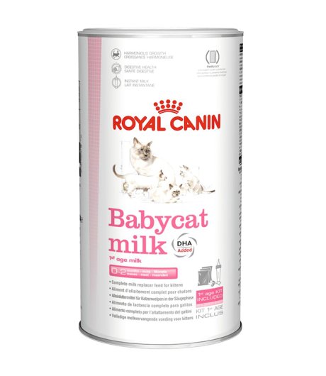 ROYAL CANIN GATTO BABYCAT MILK 300GR (lattina)