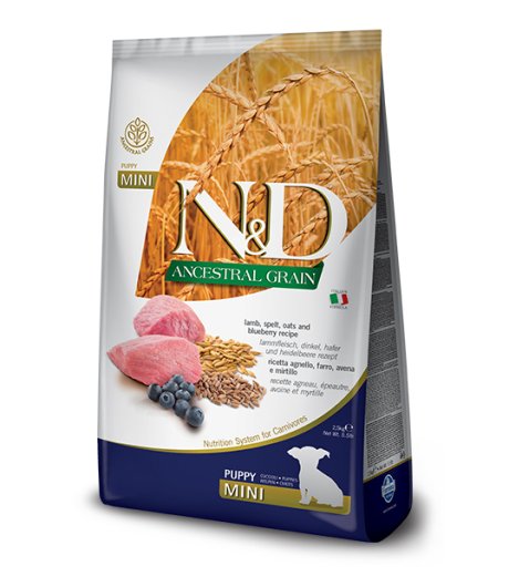 FARMINA N&D ANCESTRAL CANE MINI PUPPY AGNELLO MIRTILLO 800GR