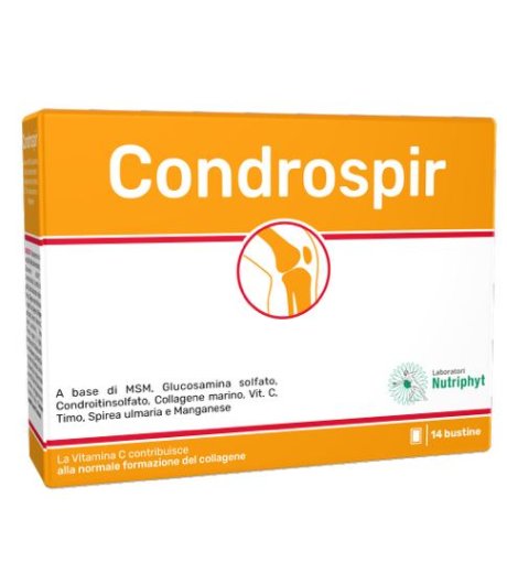 CONDROSPIR 14 Bust.