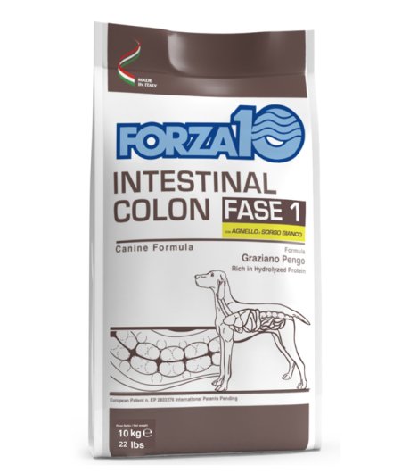 FORZA10 CANE FASE 1 INTESTINAL COLON AGNELLO SORGO BIANCO 1,5KG