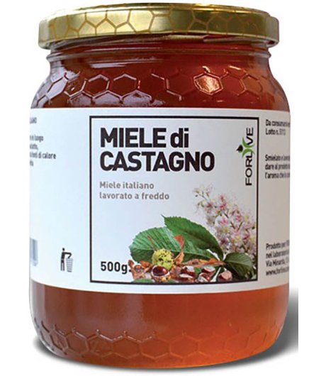 MIELE DI CASTAGNO 500G