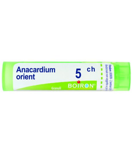 Anacardium Orient 5ch Gr