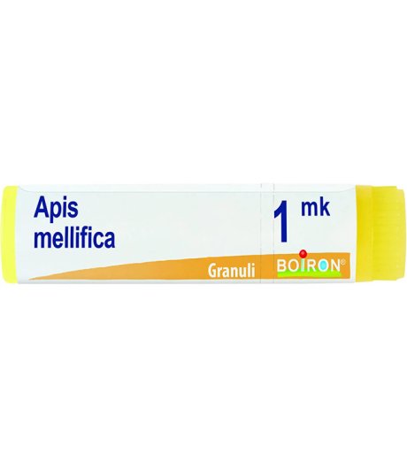 APIS MELLIFICA*GLOB MK