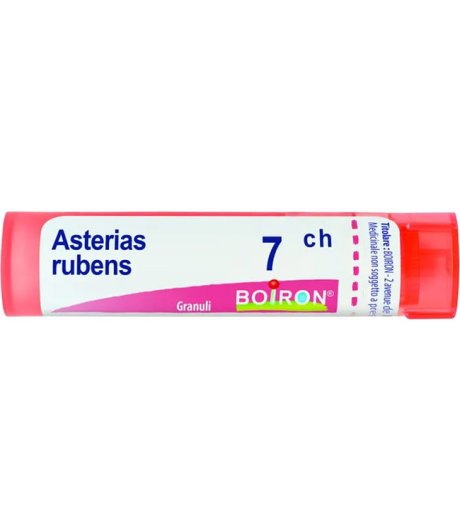 ASTERIAS RUBENS*GRAN 7CH