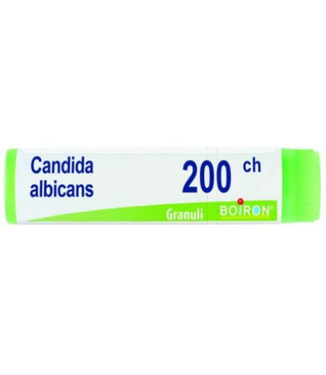 CANDIDA ALBICANS 200CH GL