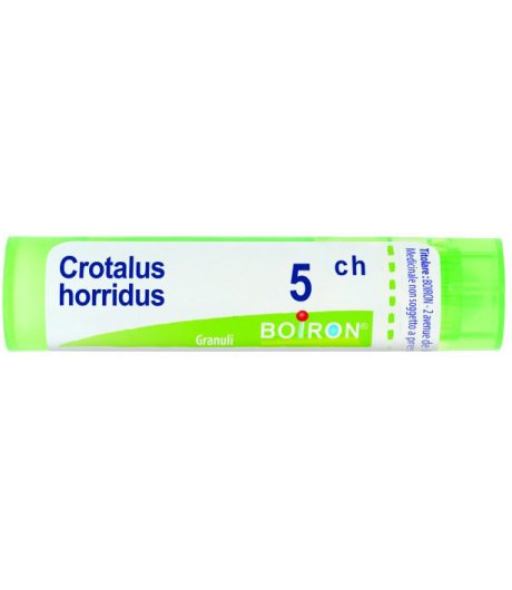 CROTALUS HORRIDUS*GRAN 5CH CROTALUS HORRIDUS*GRAN 5CH