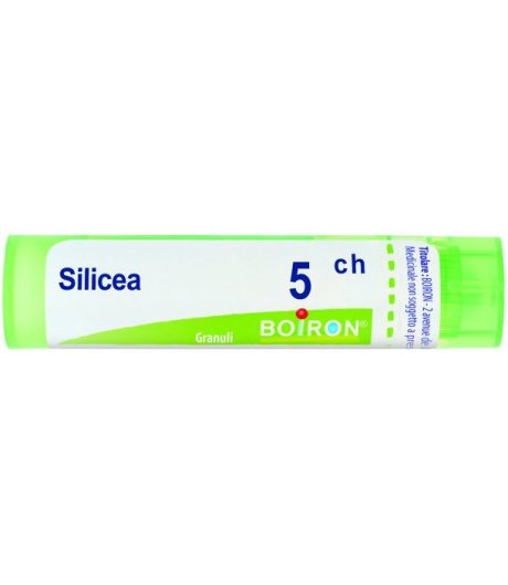 Silicea 5ch Gr