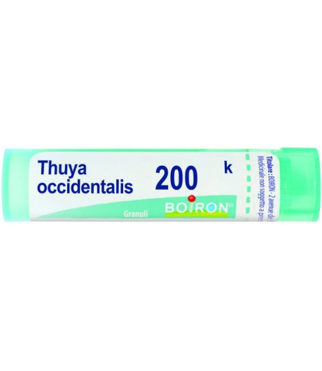 THUYA OCCIDENT 200K GR