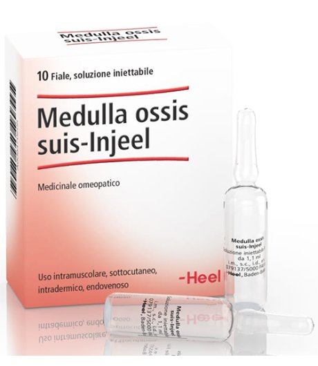 MEDULLA OSSIS SUIS INJEEL HEEL