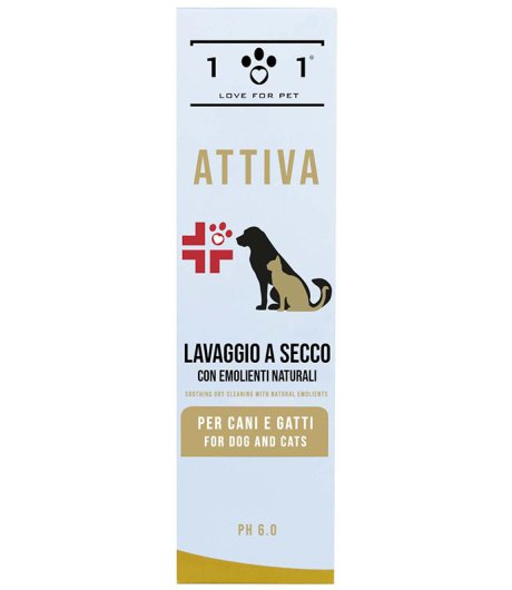 LAVAGGIO SECCO LENIT 250ML 101 LOVE