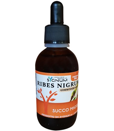 RIBES NIGRUM SUCCO MADRE 50ML