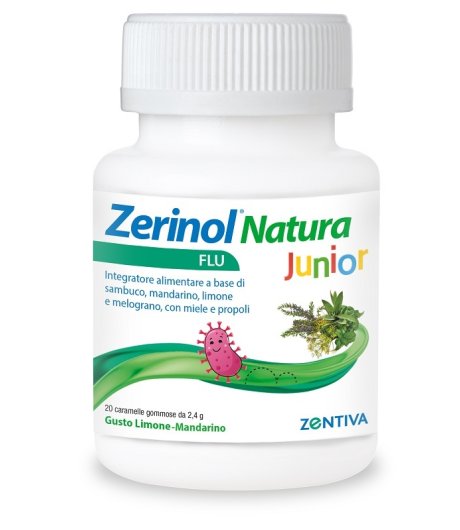 ZERINOL NATURA FLU J 20CARAM