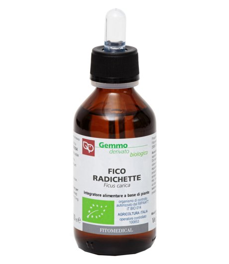 FICO RADICHETTE GD 100ML BIO
